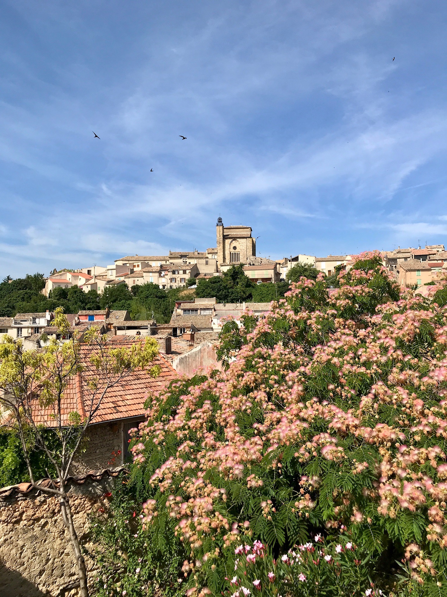 Cours de SpéMaths TS du mardi 17 mars 2020